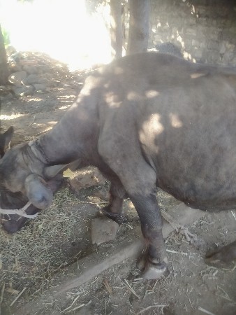 थंबनेल 2