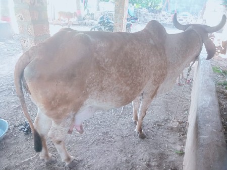 थंबनेल 3