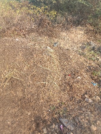 સણયુ ખાતર વેસવાનુ છે