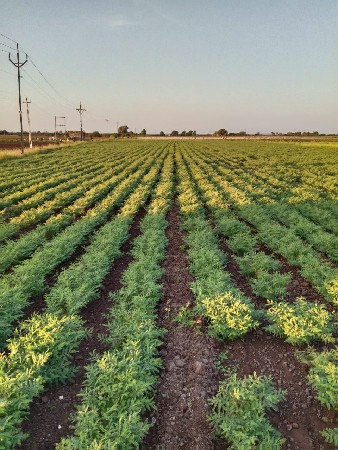 આ જમીન વેચવાની છે