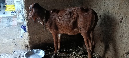 થંબનેલ 3