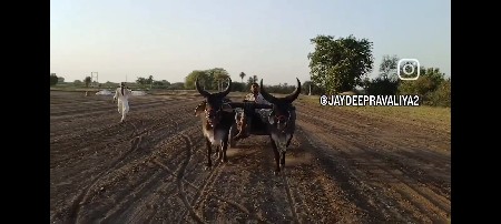 ગોંડલમાં વેચવાના છે