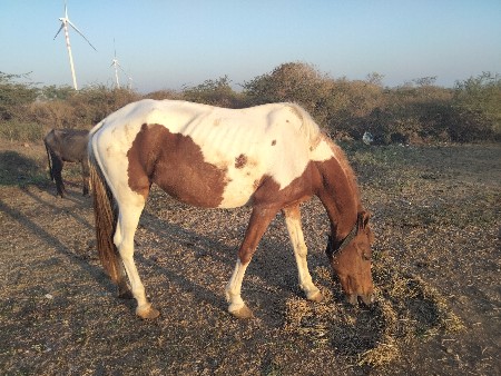 थंबनेल 3