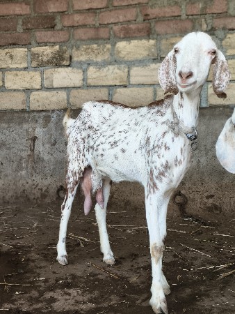 थंबनेल 3