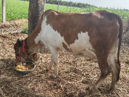 थंबनेल 2