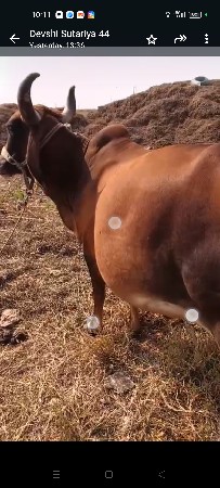 थंबनेल 3