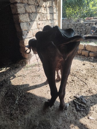 थंबनेल 2