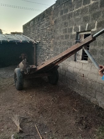 થંબનેલ 3