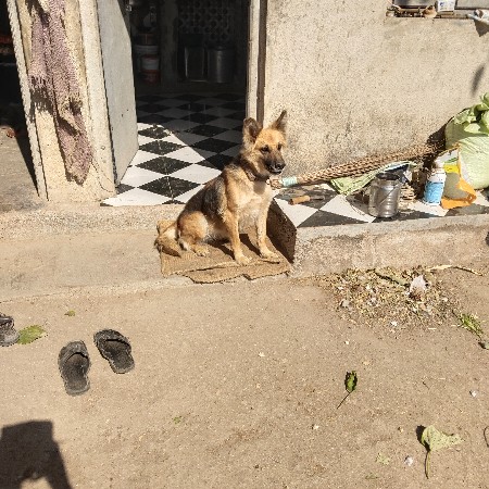 થંબનેલ 3