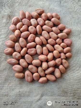 66 no madvo apvano say