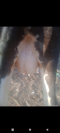 थंबनेल 3