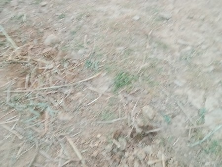 જમીન વેચવાની છે