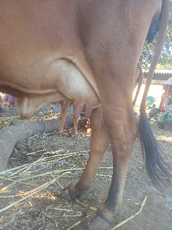 थंबनेल 2