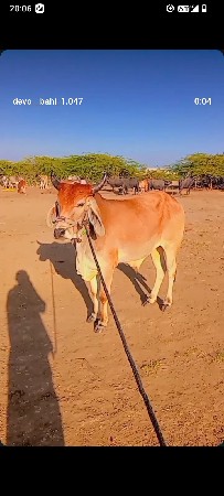 थंबनेल 3