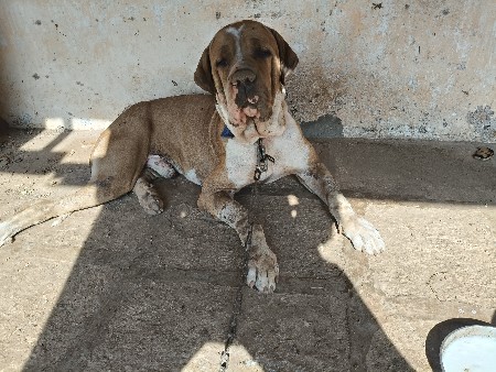 थंबनेल 3