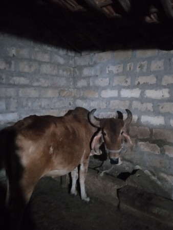 થંબનેલ 2