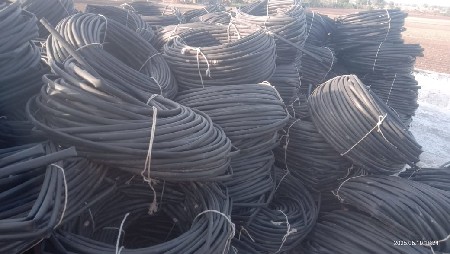 थंबनेल 4