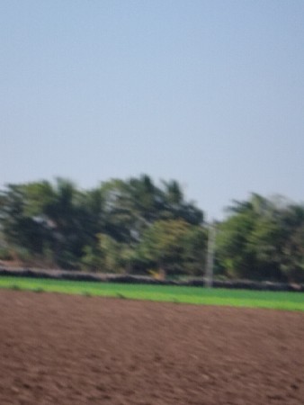 ૦ લેવલ કરી આપીસુ