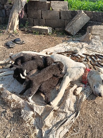 थंबनेल 2