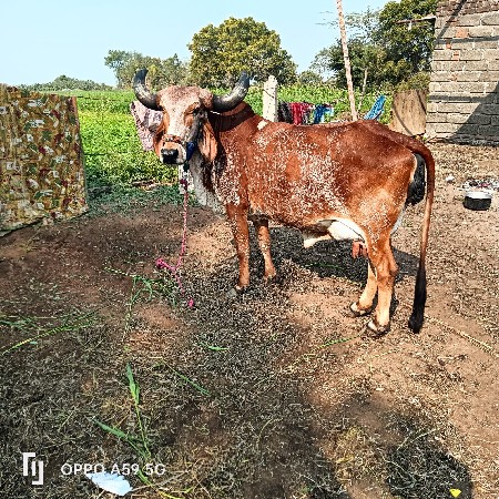 थंबनेल 2