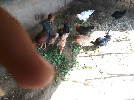 થંબનેલ 2