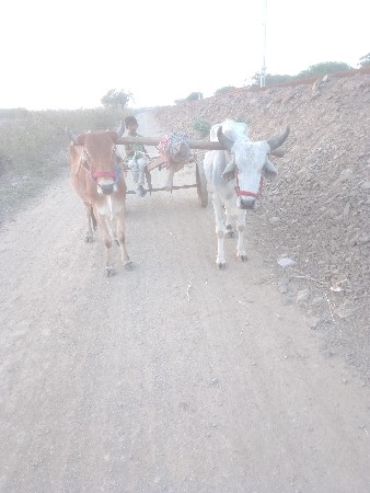 थंबनेल 2