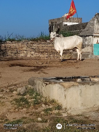 2 વાવણી નો  ડાવીયાર