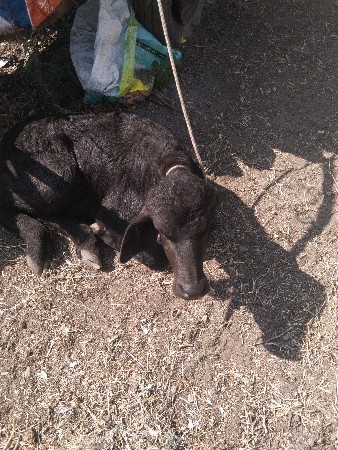 થંબનેલ 3