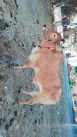 थंबनेल 2