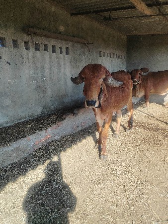 थंबनेल 3