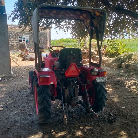 થંબનેલ 6