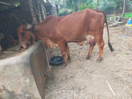 थंबनेल 2