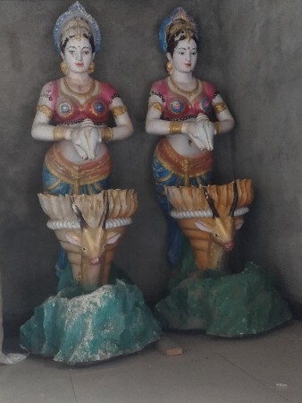 થંબનેલ 3