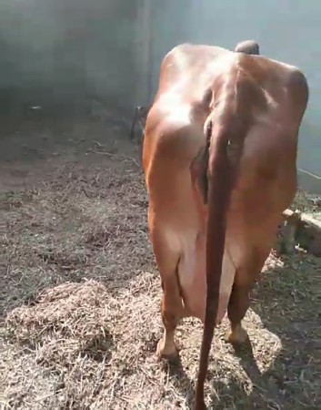 थंबनेल 3