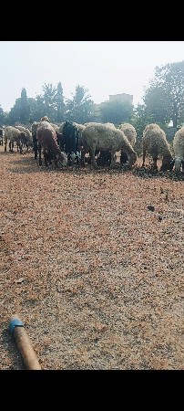 थंबनेल 3