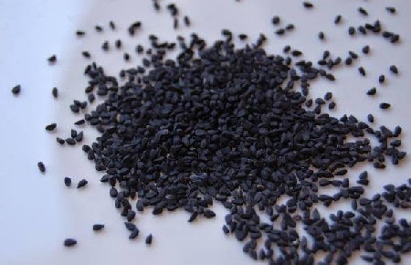 ડુંગળીનું બી