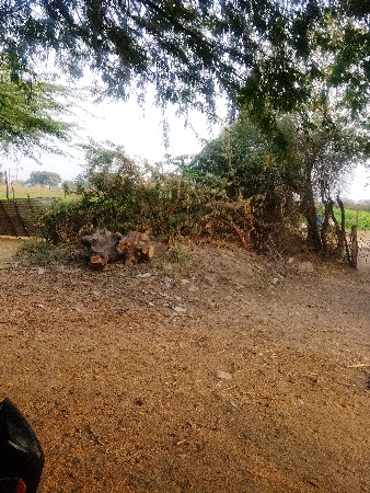 અમરેલી જિલ્લા ભાવનગર જિલ્લામાં