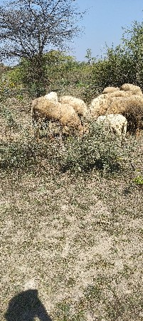 थंबनेल 2