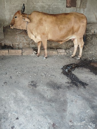 थंबनेल 3