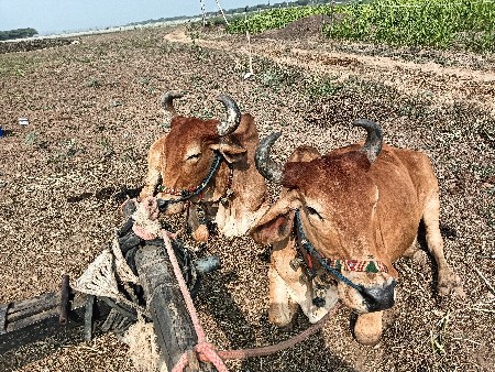 બીજીધરના