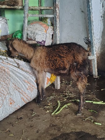 थंबनेल 2