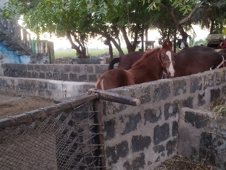 थंबनेल 3