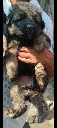 थंबनेल 3