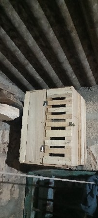 થંબનેલ 2