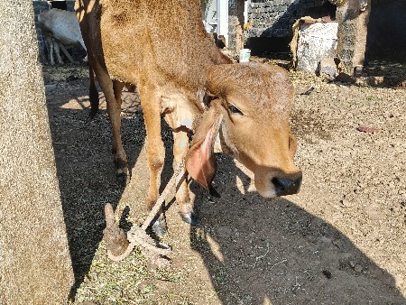 थंबनेल 3