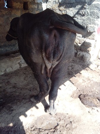 थंबनेल 2