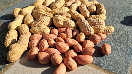 थंबनेल 2