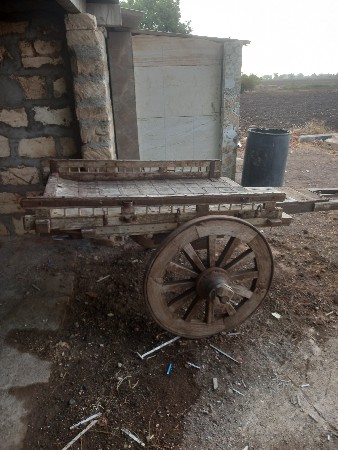 थंबनेल 3