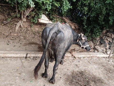 થંબનેલ 3