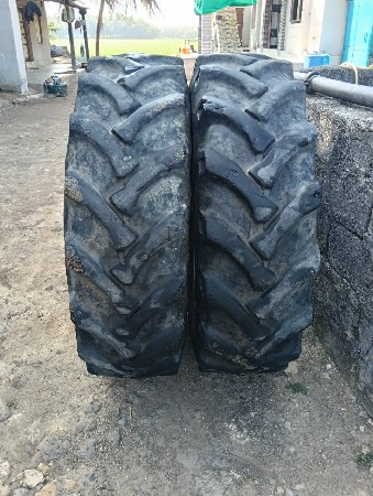 थंबनेल 3